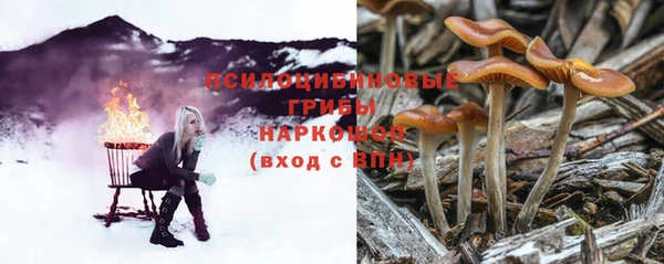 а пвп мука Няндома