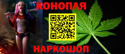 гашик Кимры