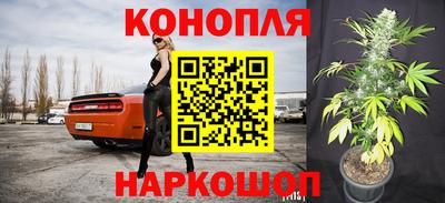 гашик Кимры