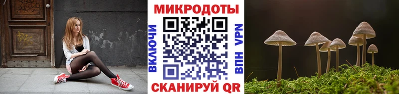 Галлюциногенные грибы мухоморы  Новый Уренгой 